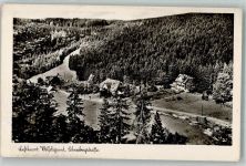 Wölfelsgrund Miedzygorze Foto AK Schneebergstrasse