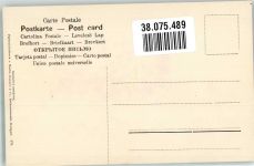 Anemonen Martin Rommel u. Co. 579 Rommel