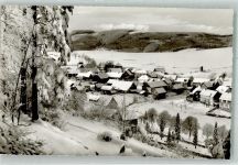 34508 W3542 Rattlar Foto AK Winter