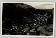 37449 W3421 Zorge Foto AK Panorama des Ortes Fotograf Röhr