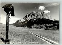6632 Ehrwald Foto AK Foto Risch-Lau Wegkreuz