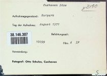 27472 W2190 Döse FOTO KEINE AK Foto montiert auf Karton Kurpark