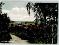 29456 W3139 Hitzacker Elbe Foto AK Panorama des Ortes mit der St. Johannis-Kirche