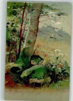 Findlinge am Fuße eines Baumstammes Natur 1905 Prägedruck