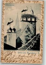 Strasbourg Straßburg Storchennest auf einem Kamin Storch 1899 Künstlerkarte