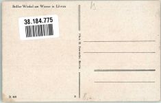 Loewen Foto AK Stiller Winkel
