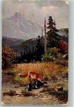 Fuchs Auerhahn T.S.N. Serie 1749 Schönian, A. Gebrauchsspuren