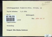 27472 W2190 Döse FOTO KEINE AK Foto montiert auf Karton Strand