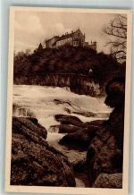 Schaffhausen Sciaffusa Rheinfall Elchlepp