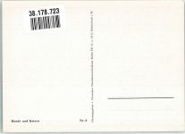 Hund Welpe Spaniel