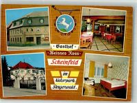 91443 W8533 Scheinfeld Foto AK Gasthaus Weisses Ross