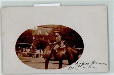 04860 O7290 Torgau 1912 - Pferd Siegfried Herrmann Ort lt. Stempel