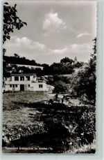 61276 W6395 Erbismühle