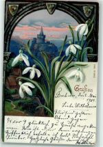 Gruss aus Blick durch ein Torbogen , Blumen AK Burg / Schloss 1901 Lithographie