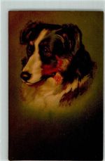 Nr. 613 Wenau Pastell Hund AK Wenau Künstlerkarte