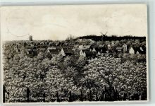 14542 O1501 Werder Havel - Baumblüte Windmühlen