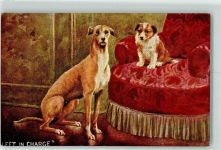 Serie 539 Windhund 1905