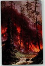 Waldbrand Künstlerkarte Primus Nr. 892 sign. Schmidt AK Feuer Gebrauchsspuren