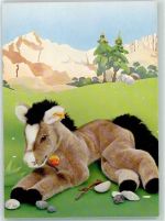 Pony AK Steiff