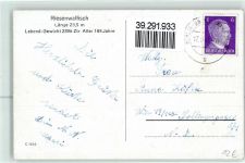 Riesenwalfisch Länge 23,5 m Ausstellung Wal 1942 Foto AK