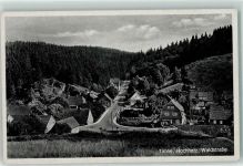 38875 O3701 Tanne , Harz - Waldstraße