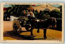 Aguascalientes - Old Mexican Caretta