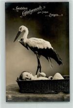 Geburt Baby Storch Storch 1914