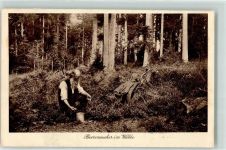Beerensucher im Walde - Idylle Nr. 53 AK Elchlepp