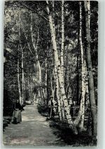 Frantiskovy Lazne Franzensbad 1913 - Westend Park Frauen