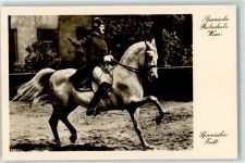 Wien 1. Bezirk, Innere Stadt Spanischer Tritt Lippizaner Spanische Reitschule Foto AK