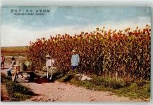 Form of Farmer Chinese Motiv China