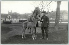 WK I Soldat mit Pferd und Pfohlen - Kavallerie? Soldat Privatfoto AK