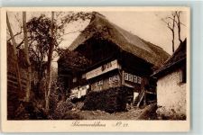 Schwarzwaldhaus Nr. 14 AK Elchlepp