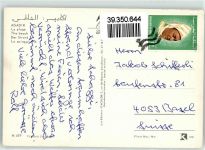 Agadir - Strad Paddel Surfbrett Auto