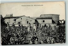 Vendanges en Beaujolais Weinlese Beruf AK Wein