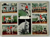 Wien 1. Bezirk, Innere Stadt Spanische Reitschule