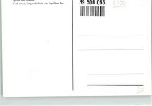 6293 Tux Winterlithographie sign. E. Lap Eggalm