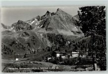 6183 Kühtai - Alpenrose Dortmunderhütte u. Schlössl