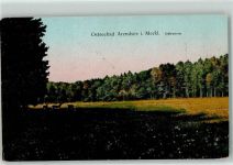 18225 O2565 Arendsee Kühlungsborn, Ostseebad - Rehwiese