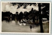 Frantiskovy Lazne Franzensbad - Stadtteich Schwan Ruderboot