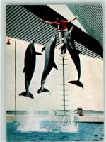 W4100 Duisburg Delphinim Delphinarium Zoo