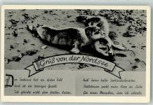 Heuler Robbe