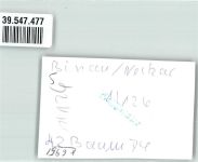 74862 W6951 Binau Privatfoto KEINE AK Ort handschriftlich Camping Auto