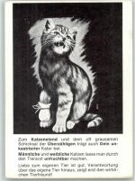 W8000 München Katze Tierschutz