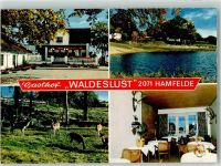 22929 W2071 Hamfelde , Kr Hzgt Lauenburg - Gasthaus Waldeslust