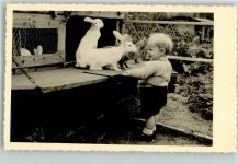 Baby Hase Privatfoto AK