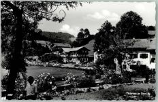 6335 Hinterthiersee Foto AK