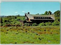 Nairobi Foto AK The Ark Aberdare Country Ckub Elefanten