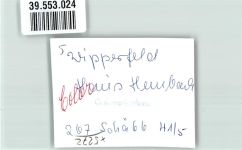 51688 W5272 Wipperfeld FOTO KEINE AK Ort handschriftlich