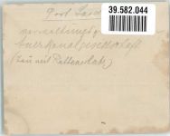 Port Said Privatfoto KEINE AK Ort handschriftlich